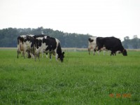 /album/fotogallerij/dsc00345-jpg/