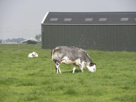 Foto van de omgeving
